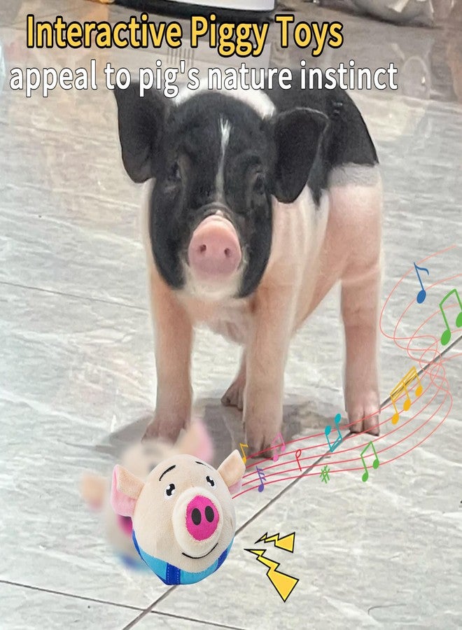 OOXYG Interactive Toy for Mini Pig - Pigs Toy, Bouncing Toy Ball with Music and Recording for Mini Pigs, Pet Pig Supplies, Moving Ball Chew Toys for Pig to Keep Them Busy for Boredom - Image 5
